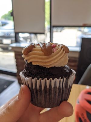  at The Queen's Cups in Worcester