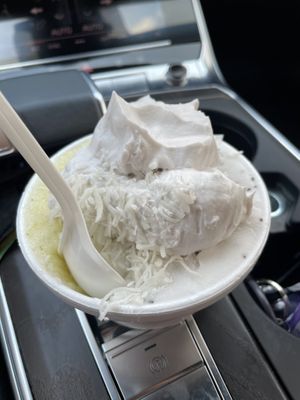 Pineapple mint, coconut chia with whipped coconut cream at Freshest Natural Ice Creams in San Antonio
