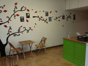Inside the ice cream shop. at Freshest Natural Ice Creams in San Antonio