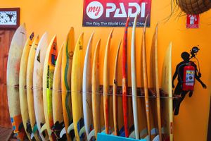 10% food if you get PADI certified, but I prefer “diving pirates” at La Buguita in Bocas Del Toro