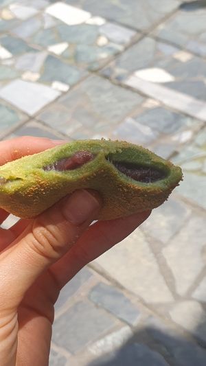 Red bean Fallingbostel! at Nakatanidou in Nara