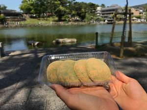 ¥130 per Mochi  at Nakatanidou in Nara