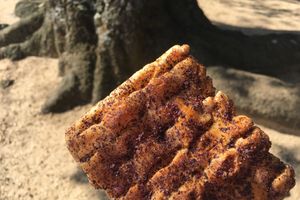Soy flavored rice cake at Nakatanidou in Nara