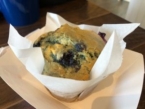 Blueberry muffin at Fermento in Long Beach