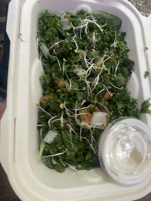 Massaged kale salad  at The Reizod Vegan Experience in Columbia