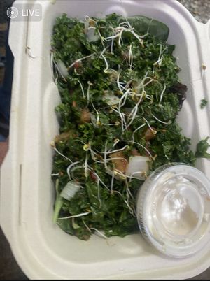 Kale salad  at The Reizod Vegan Experience in Columbia