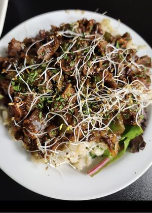   at The Reizod Vegan Experience in Columbia