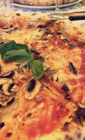 Fungi pizza with vegan cheese at Mister Pizza - Duomo in Florence