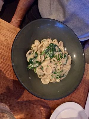 Orecchiette - SO DELICIOUS AND CREAMY   at Il Fornello - Danforth Ave in Toronto