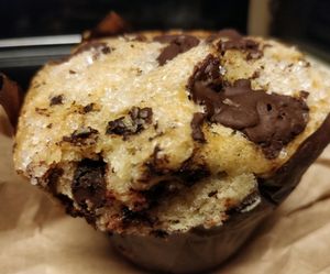giant chocolate chip muffin  at Vegan Fine Foods in Fort Lauderdale