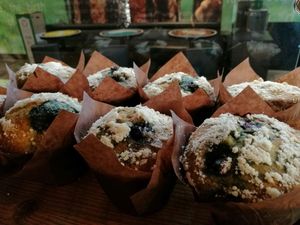 Daily muffins at Kicking Horse Cafe in Invermere
