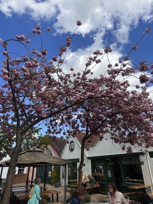   at Vutie Beets in Letchworth