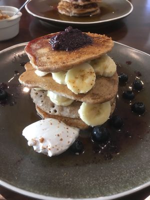Blueberry fields  at Vutie Beets in Letchworth