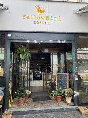   at YellowBird Coffee in Bremen