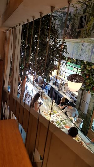 View from the tree house at Squirrel in South West London