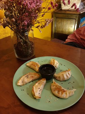 Vegan Gyozo at Kino in Barcelona