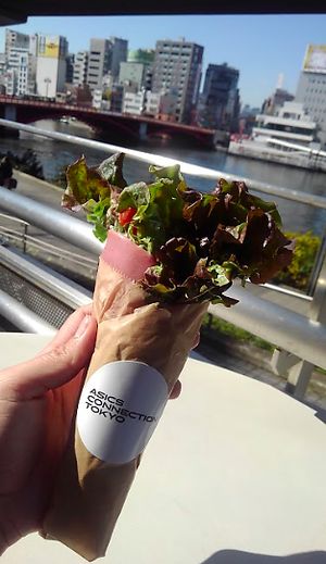 togolunch
spisy salad rap at Asics Connection in Tokyo