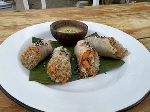 Rice paper rolls  at Pituq Cafe in 