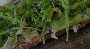 Sandwich avocado at Organic Vision in Oostende