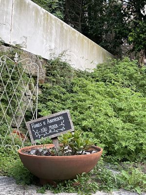 The terrace at Remedio Santo Campo Alegre in Porto