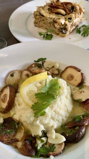 Shitake à Bulhão pato  at Remedio Santo Campo Alegre in Porto