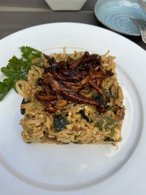 Shiitake  at Remedio Santo Campo Alegre in Porto