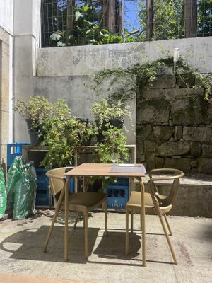 Lovely outside garden 🪴   at Remedio Santo Campo Alegre in Porto