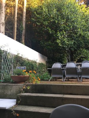 Lovely garden at Remedio Santo Campo Alegre in Porto