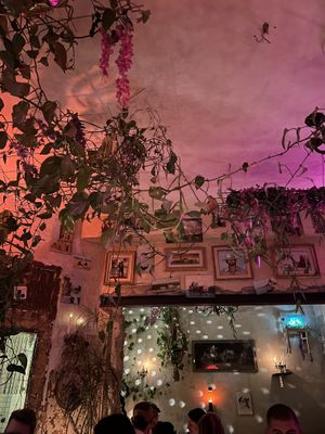   at Zum Zweischneidigen Pferd in Muenster