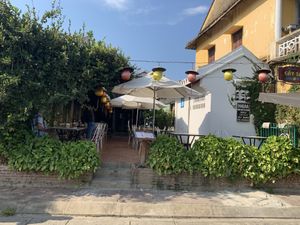 Citronella from the riverside  at Citronella in Hoi An