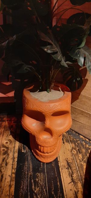  at Enchilada in Bremen