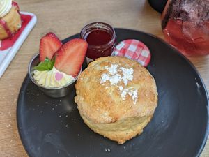Vegan scone with vegan cream at Birdhouse in Sheffield