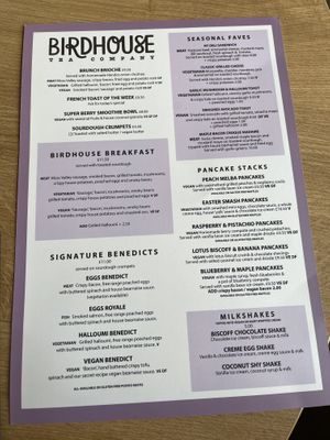   at Birdhouse in Sheffield