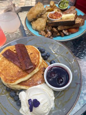   at Birdhouse in Sheffield