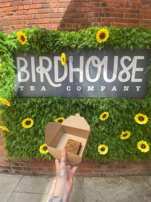   at Birdhouse in Sheffield