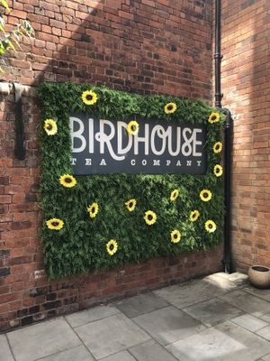   at Birdhouse in Sheffield