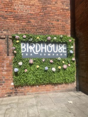   at Birdhouse in Sheffield