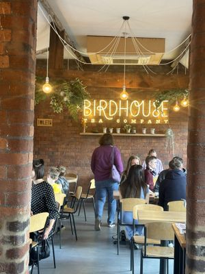   at Birdhouse in Sheffield