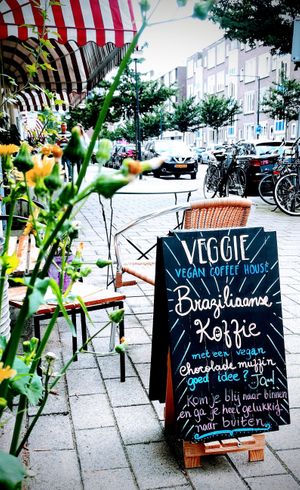 Op het terras at Veggie in Rotterdam