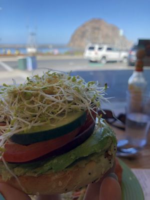 Garden bagel and a great view   at Goddess Goods in Morro Bay