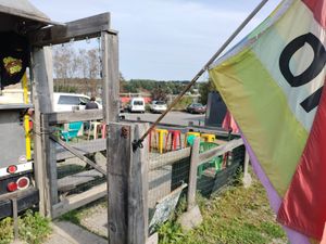 BYO Beer Garden at The Moody Dog - Food Truck in Belfast