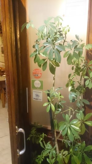 Outside HappyCow sticker at Ana Eva in Valencia