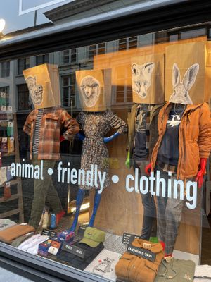   at Leeloo Bvba in Bruges