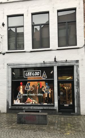 Festive window. Dec 19 2022  at Leeloo Bvba in Bruges