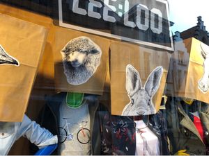 leeloo.be at Leeloo Bvba in Bruges