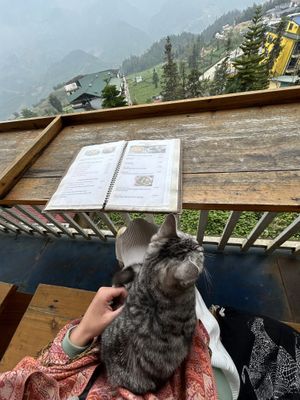 View  at Paradise Restaurant  in Sapa