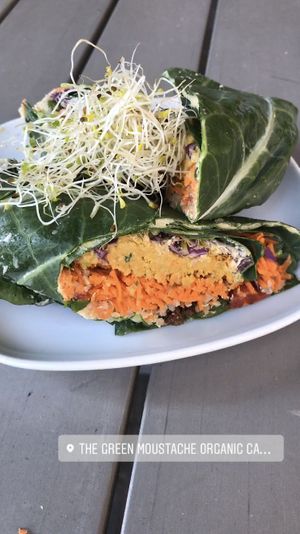 Veggie wrap gluten free  at The Green Moustache in North Vancouver