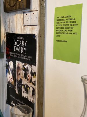 Activism at Vega in Tintagel