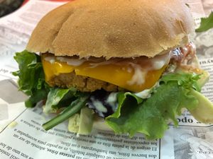 100% vegana at Papagayo in Torremolinos