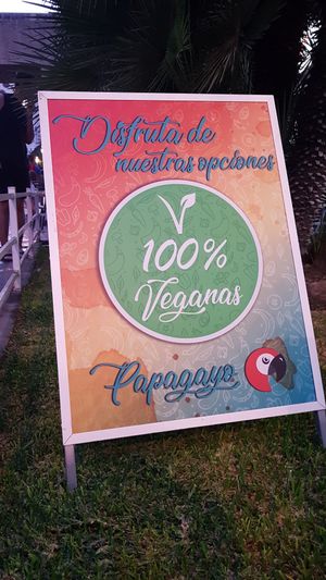 VISIT Us de  have in Our Menú  Burgers, Hotdogs, Burritos and Nachos in  Vegan Opcion at Papagayo in Torremolinos